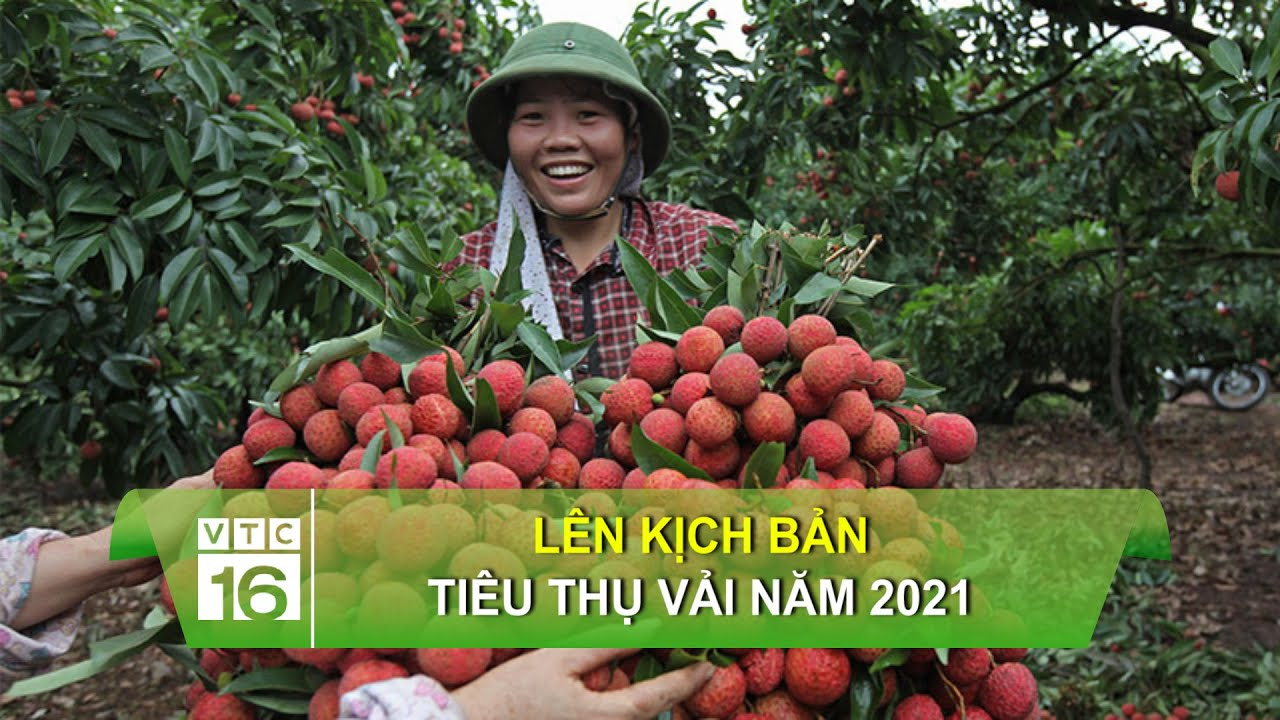 Smiski là gì mà giới trẻ đua nhau 'đập hộp'?