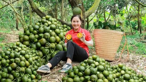 ﻿ Huấn luyện viên từ chức, CLB Thanh Hoá muốn giữ