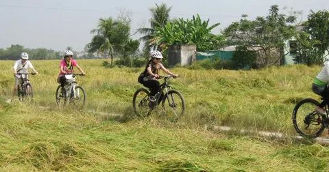 TP.HCM công bố số thí sinh đăng ký nguyện vọng 1 thi lớp 10